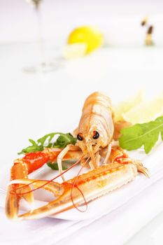 Luxury concept. Fine dining. Langoustine on white background with herbs and lemon.