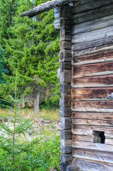 Old log cabin in the forest