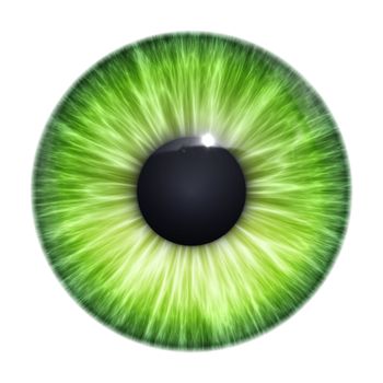 An image of a nice green eye texture