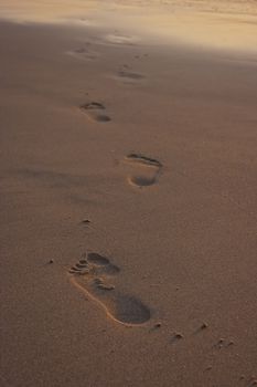 Footprints on beach on sunset. Ocean in the background.