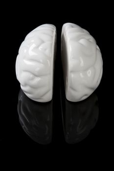 White ceramic brain isolated on black background.