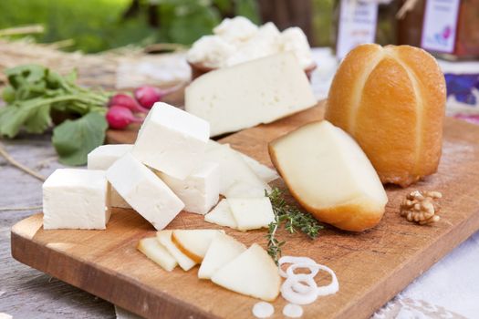 Cheese variation on wooden board. Traditional sheep cheese sorts on organic farm. 