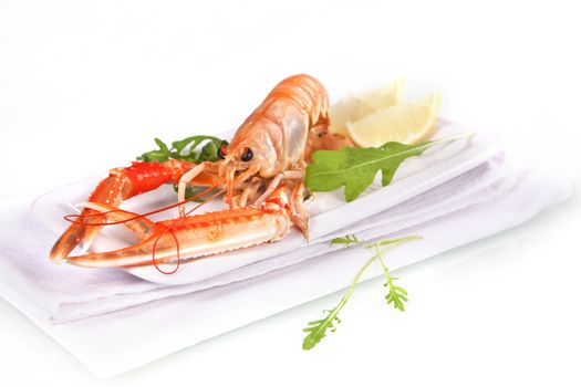 Luxury concept. Fine dining. Langoustine on white background with herbs and lemmon.