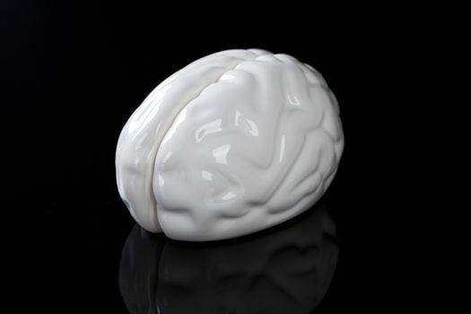 White ceramic brain isolated on black background.