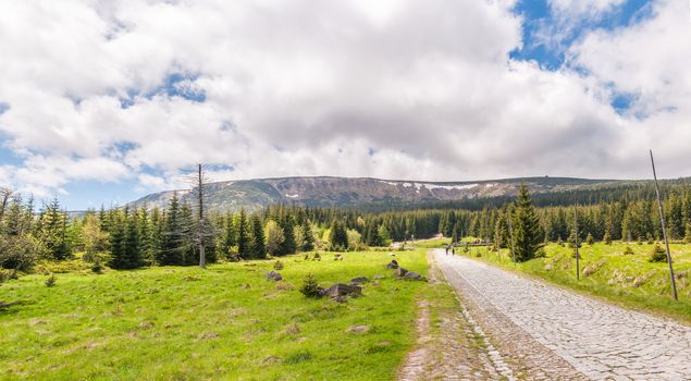 Touristic path in Karkonosze National Park, Poland