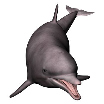 3D digital render of a dolphin isolated on white background