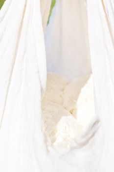 Traditional organic sheep cheese production on organic farm. Sheep cheese drying in white cloth. 