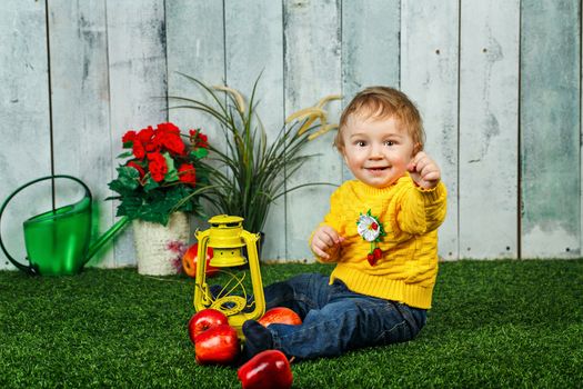 Little boy sits on a lawn in the backyard and at his feet lay ripe apples