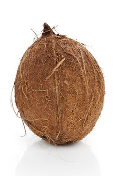 Whole hairy brown coconut isolated on white background. Tropical fruit.