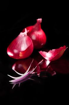 Delicious red onion still life. Slices, peel and whole onion isolated on black background with reflection. Culinary cooking.