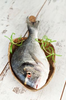 Fresh sea bream on wooden tray on white wooden textured background. Natural mediterranean seafood concept.