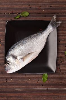 Fresh gilt head bream on black square plate with colorful peppercorn and fresh basil leaves on brown natural background. Culinary seafood concept.