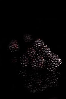 Luxurious blackberries background. Blackberries in pile isolated on black background with reflection. Luxurious healthy summer fruit.