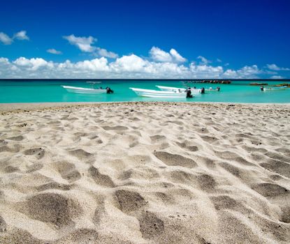 beautiful beach and tropical sea