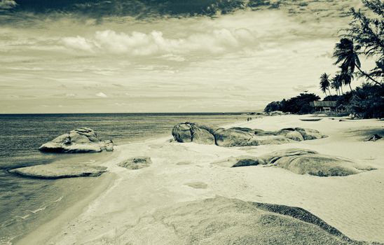 grunge image of tropical beach