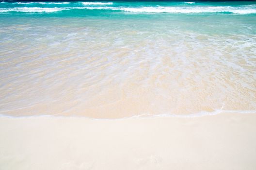 beach and tropical sea