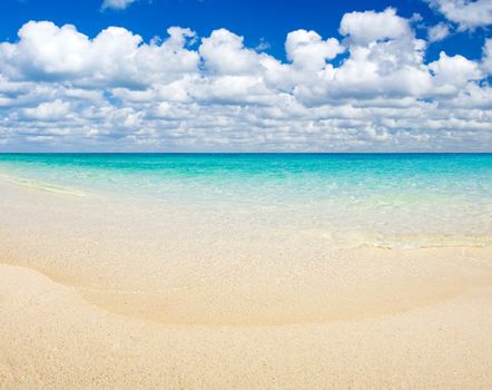 beach and beautiful tropical sea