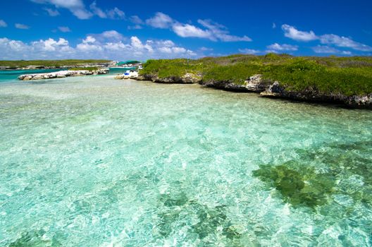 beautiful beach and tropical sea