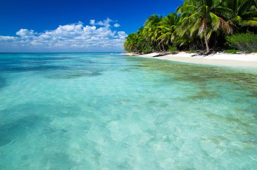 tropical sea under the blue sky