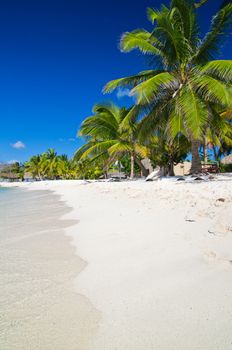 tropical sea under the blue sky