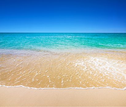 beautiful beach and tropical sea