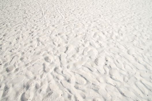 Close up shot of coral sand