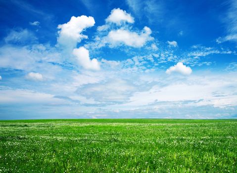 field on a background of the blue sky