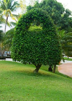 Alone tree on the green garden