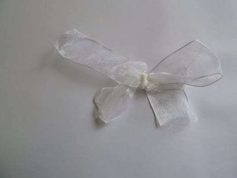 Delicate white ribbon on a plain white background