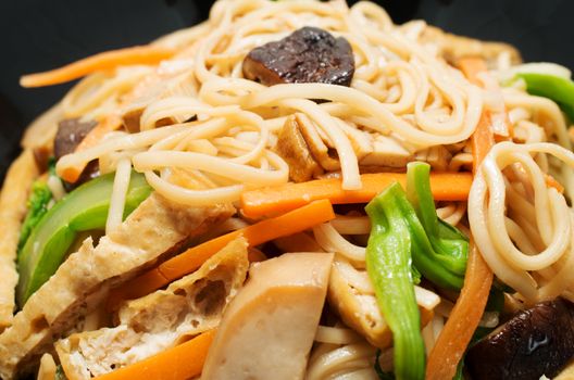 Vegetarian stir fry noodle plate macro shot 