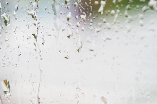 Macro shot of rain water drops on windows - selective focus