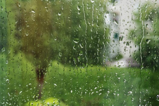 Macro shot of rain water drops on windows - selective focus