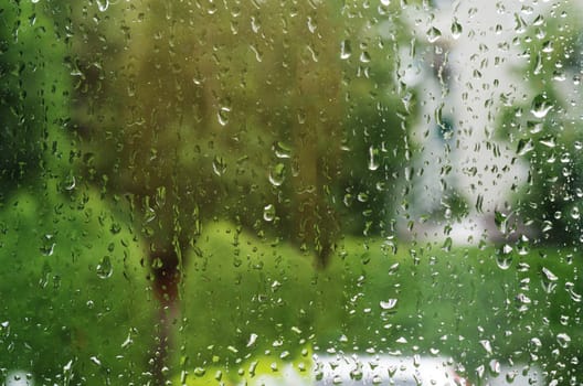 Macro shot of rain water drops on windows - selective focus