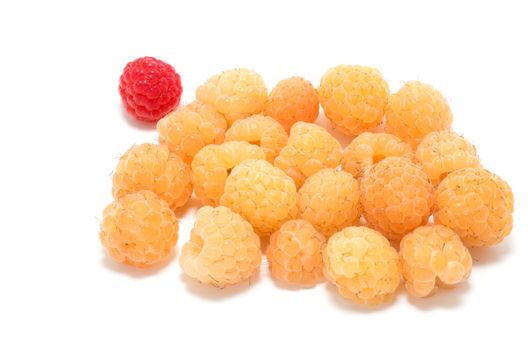 Different concept, one red separated from several yellow raspberries 