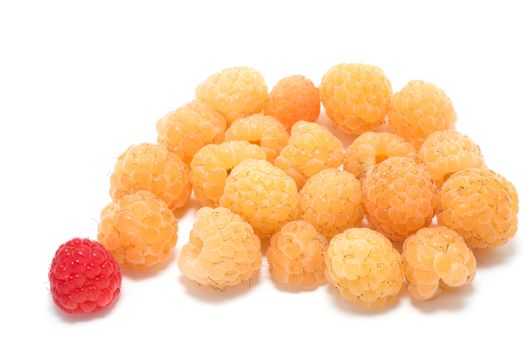 Different concept, one red separated from several yellow raspberries 