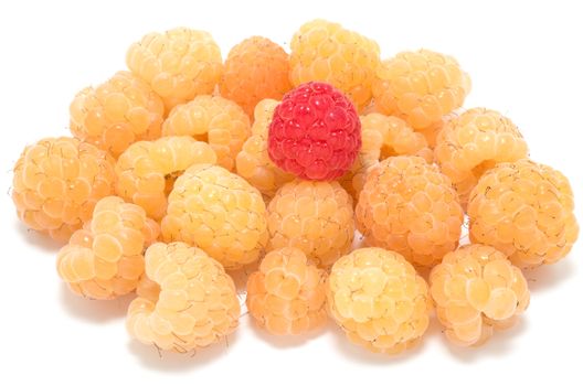 Different concept, one red on top of several yellow raspberries 