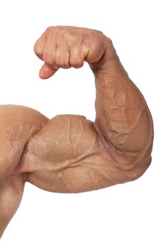 Extreme big biceps isolated on white background. Extreme bodybuilding. 