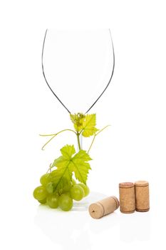 Luxurious wine glass with green grapes, vine leaves and various wine corks isolated on white background. Luxurious wine still life.