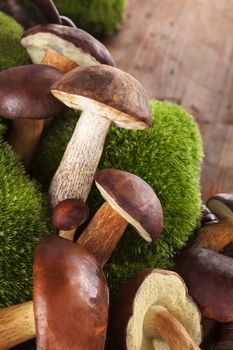 Edible culinary delicious mushrooms with green moss on brown wooden background. Culinary mushroom eating. 