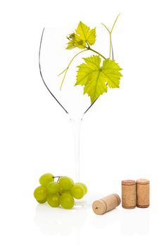 Luxurious empty wineglass with vine leaves, green grapes and wine corks isolated on white background. Luxurious culinary wine drinking still life.