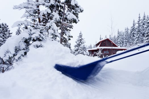 Removing heavy winter snowfall with snowscoop in front of rural country timber house snow covered in background surrounded by snowy evergreen coniferous forest