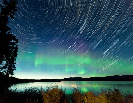 Astrophotography star trails on midsummer night sky with Aurora borealis or Northern Lights over shore willow bush at Lake Laberge, Yukon Territory, Canada