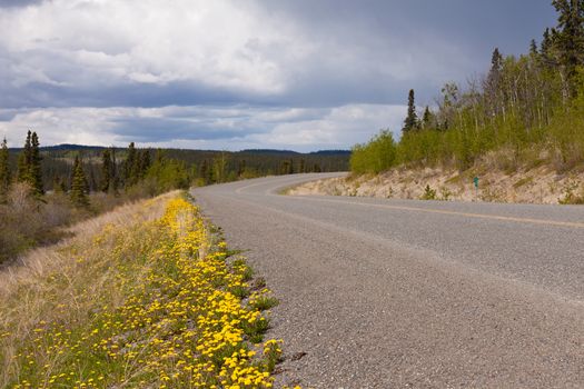 Empty rural country road highway in boreal forest taiga of Yukon Territory, Canada, in summer