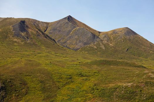 Mountain range with dense bug brush tundra vegetation in Tombstone Territorial Park near Dempster Highway north of Dawson City, Yukon Territory, Canada