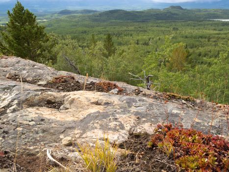 Rocky terrain and beautiful scenery of boreal forest taiga just north outside Whitehorse, Yukon Territory, Canada