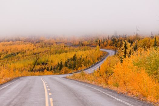 North Klondike Highway winding through autumn gold colored boreal forest taiga countryside with low cloud cover, Yukon Territory, Canada