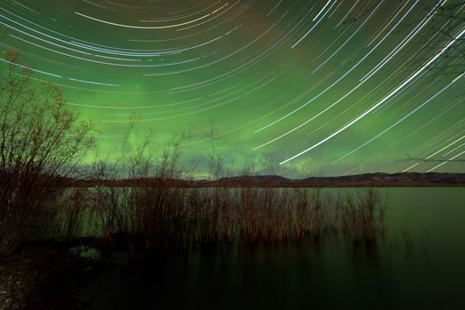 Astrophotography star trails with glowing green night sky from Aurora borealis or Northern Lights over shore willow bush at Lake Laberge, Yukon Territory, Canada