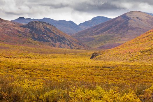 Aurumn fall colors in mountain tundra of Tombstone Territorial Park near Dempster Highway north of Dawson City, Yukon Territory, Canada