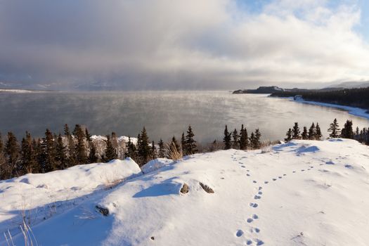 Steaming Lake Laberge, Yukon Territory, Canada, on icy winter day before freezing over with fox tracks in snow on shore