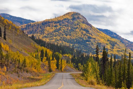 Empty road through autumn gold fall colored boreal forest taiga hills at North Klondike Highway, Yukon Territory, Canada